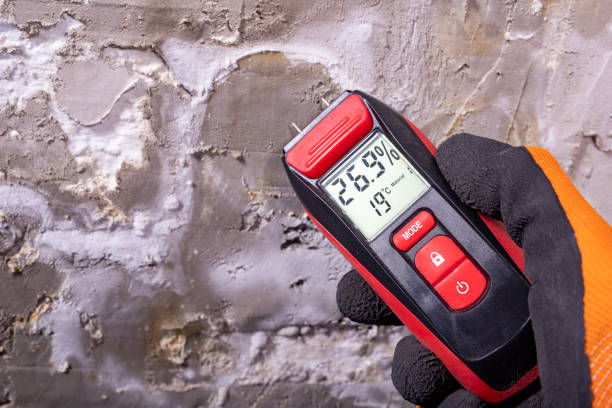 White Haven, PA Mold Removal Company