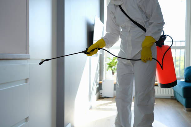 Best Local Mold Removal Service  in White Haven, PA