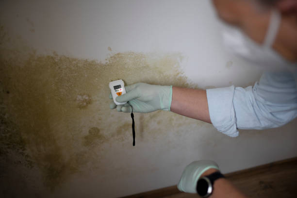 Best Mold Testing  in White Haven, PA
