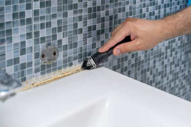 Mold Removal Process in White Haven, PA