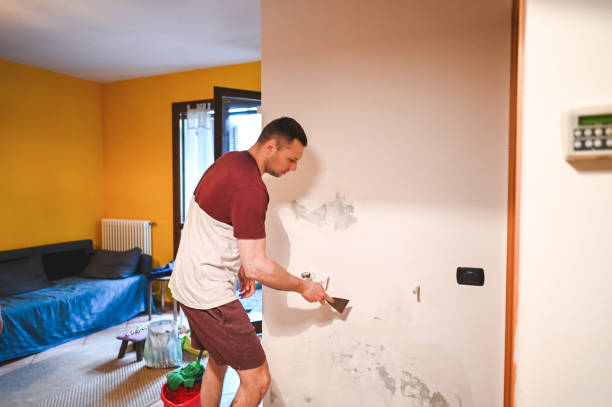 Best Toxic Mold Removal  in White Haven, PA
